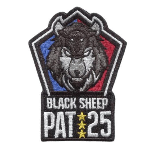 PAT 25 Memorial Patch